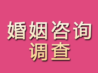 高安婚姻咨询调查