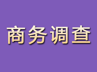 高安商务调查